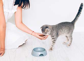 子猫にとっては危険な食べ物！猫に食べさせてはいけないものまとめ