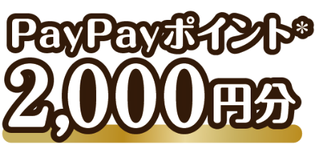 paypayポイント2000円分